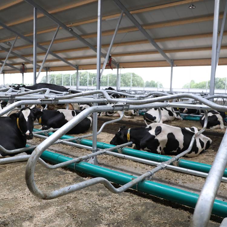 Combi Comfort Cubicles