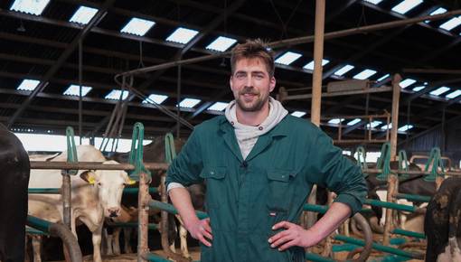 VIDEO: Koeien kiezen overduidelijk voor de B3130-Flex ligboxafscheiding bij melkveehouder Johannes!