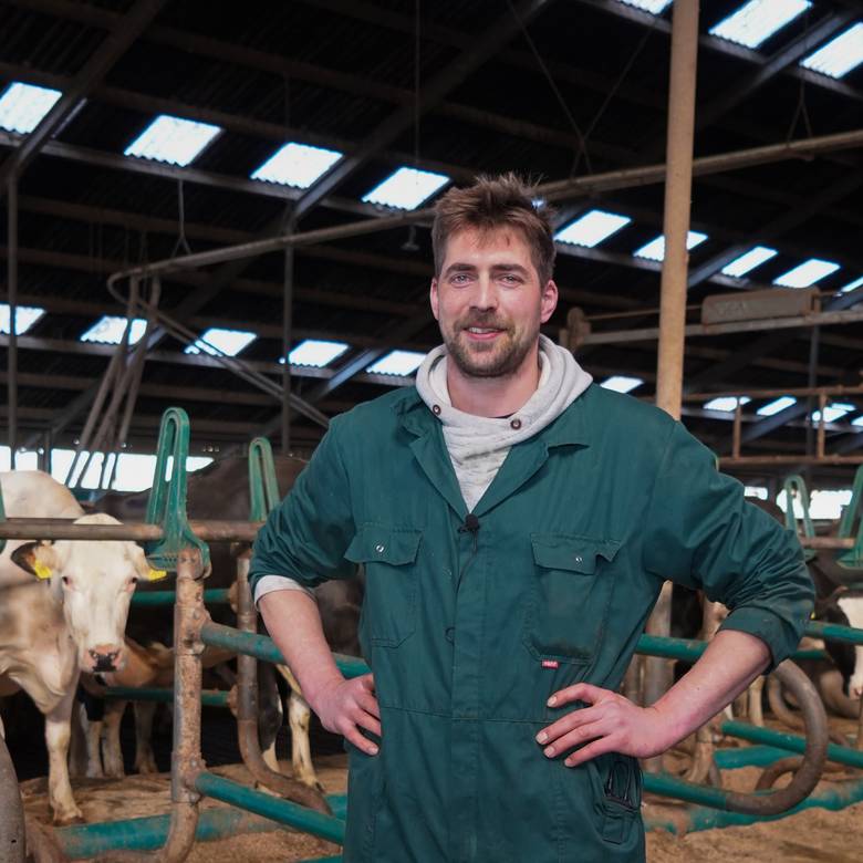 Koeien kiezen overduidelijk voor de B3130 bij Johannes!