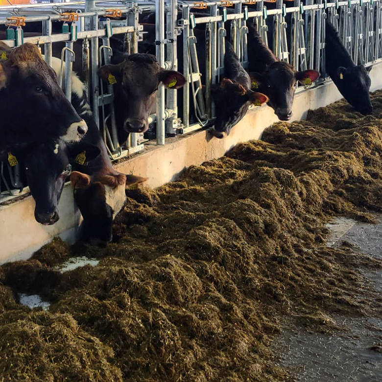 Axé sur le calme, la sécurité, l’efficacité et la fiabilité