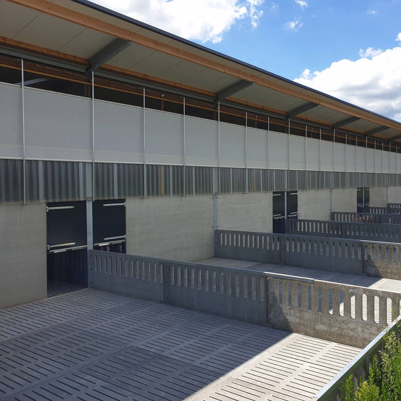 Functional characteristics