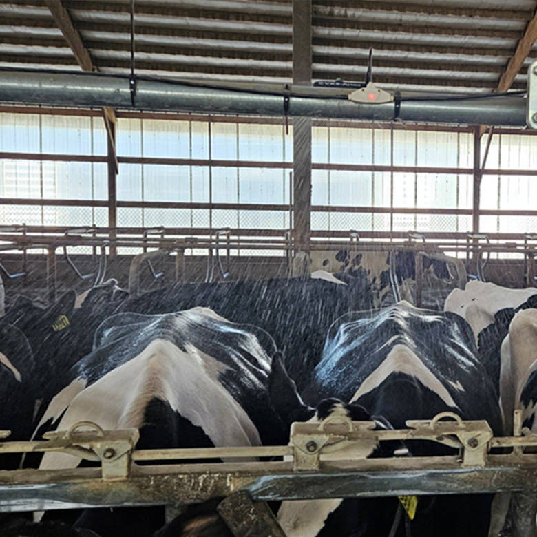 Two feedline soaking solutions