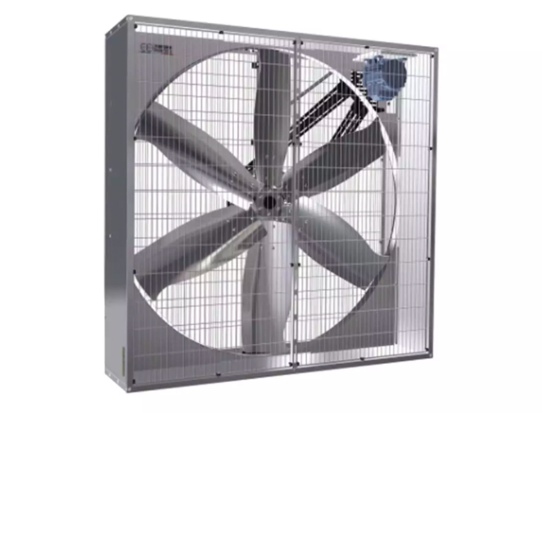 Royal de Boer Boxfan AC