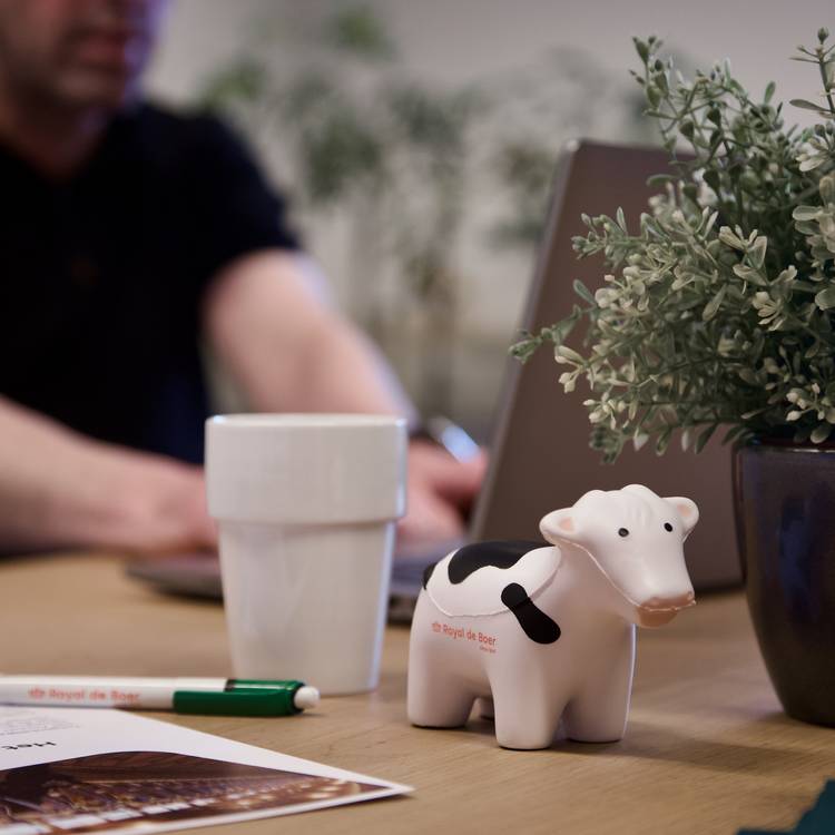 Brandt Schaap (DACH - Export)