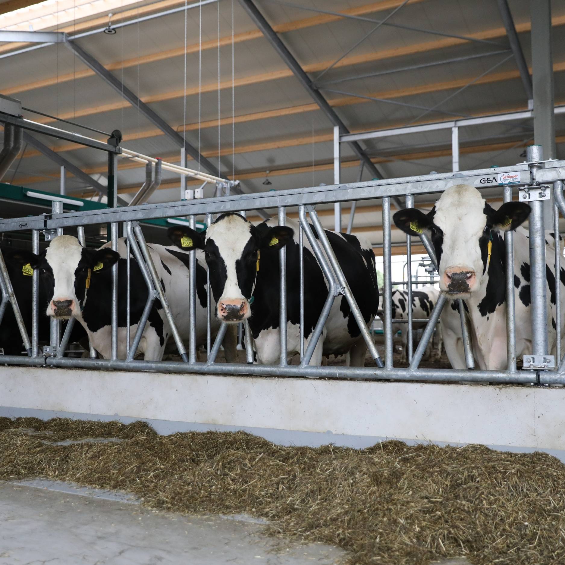 TWIST&LOCK FEEDING FENCE