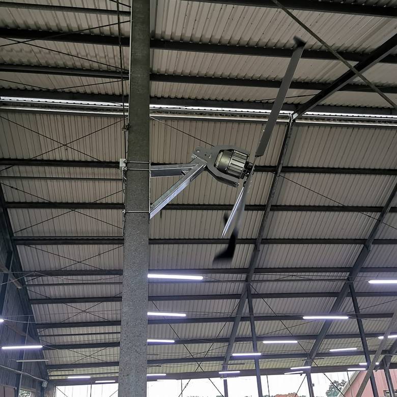 Royal de Boer Cross-fan