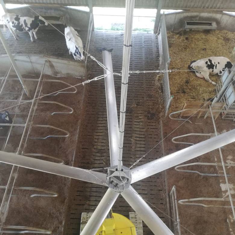 Royal de Boer HVLS