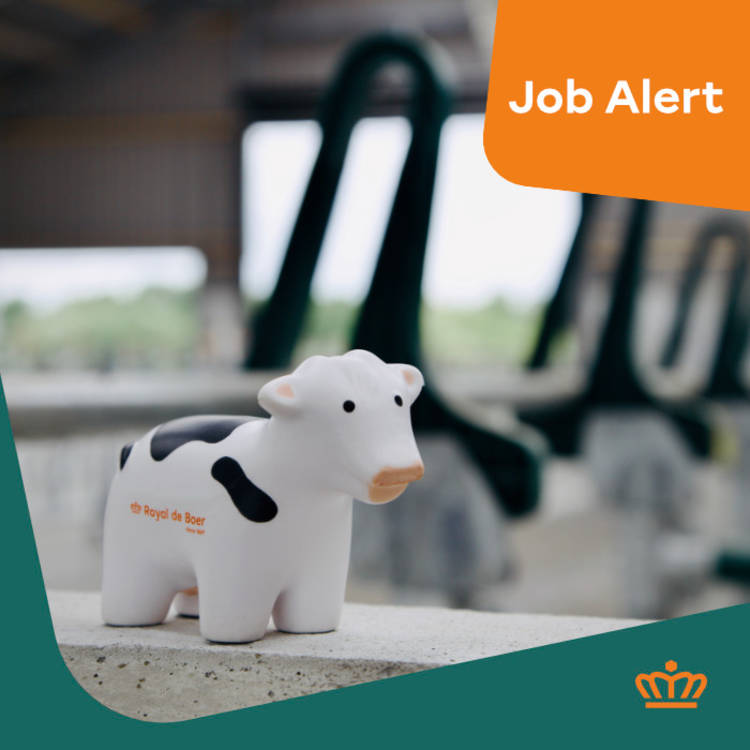 Medewerker Claimbehandeling