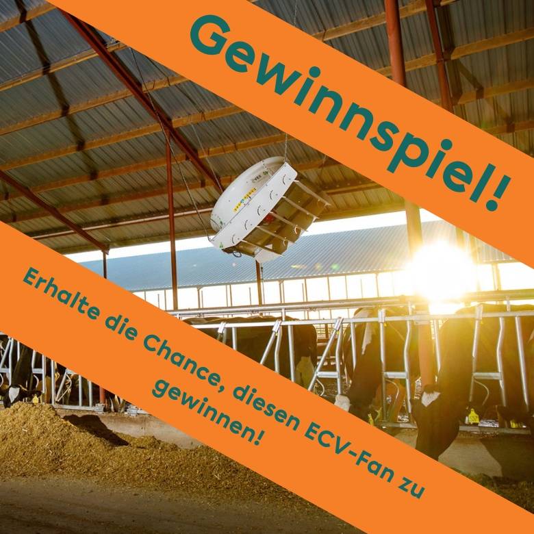 ECV Gewinnspiel